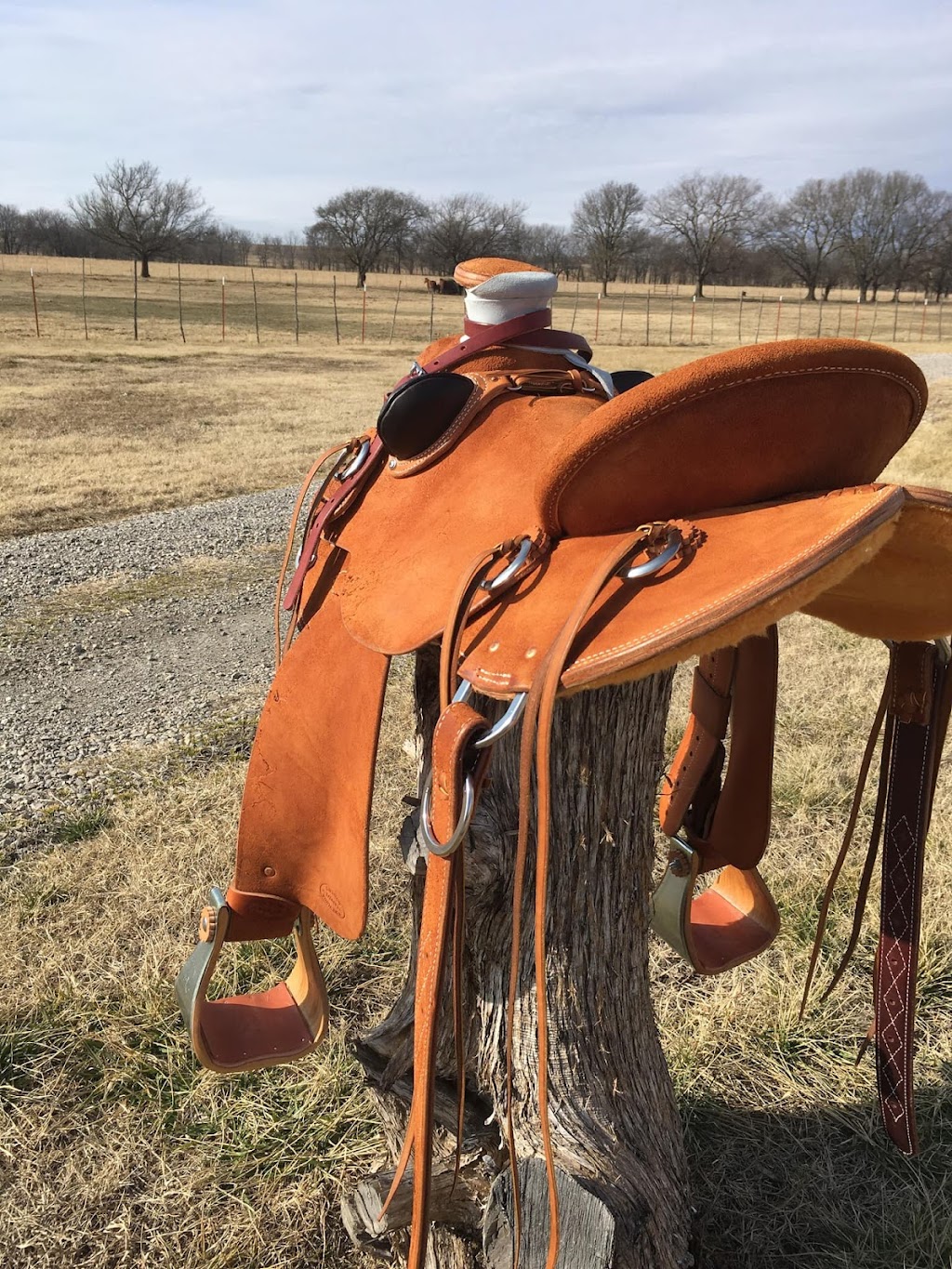 DW Dixon Saddles | 430900 E 200 Rd, Vinita, OK 74301, USA | Phone: (918) 323-4400