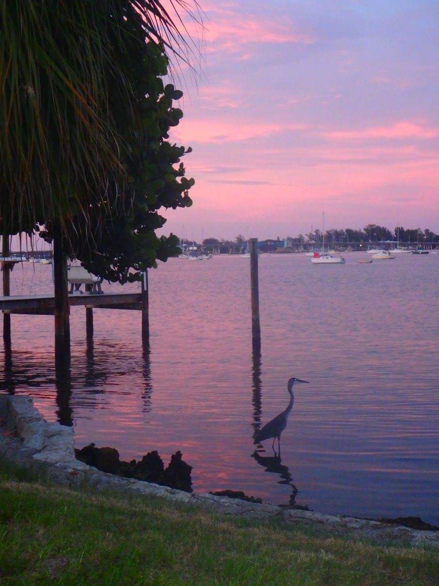Herons Landing | 114 8th St S, Bradenton Beach, FL 34217, USA | Phone: (713) 498-3549