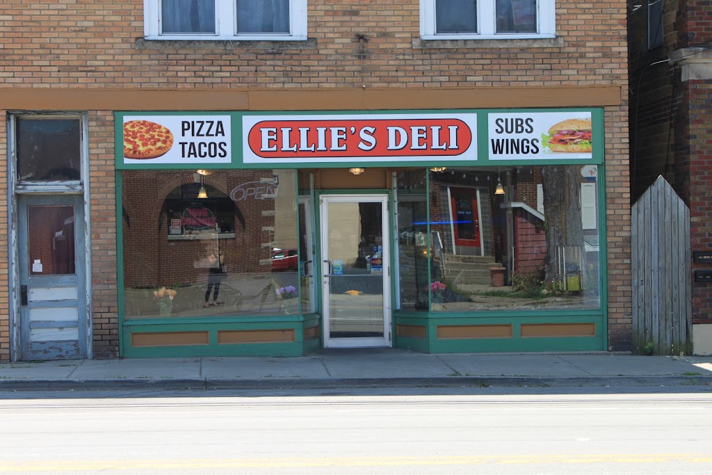 Ellies Deli | 201 Central Ave, Silver Creek, NY 14136, USA | Phone: (716) 934-7235