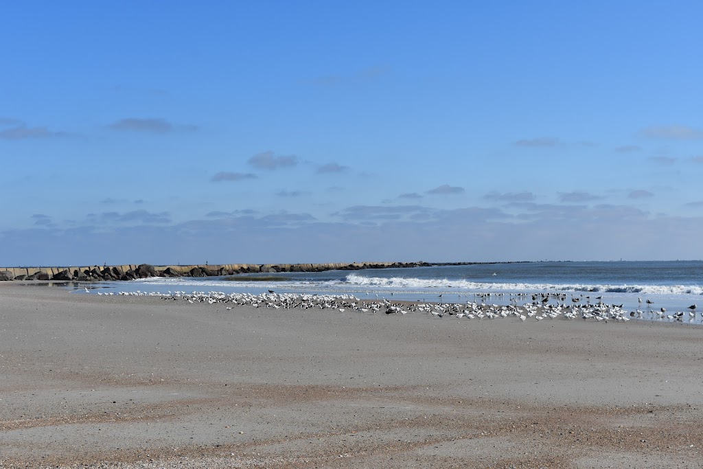 Fort Clinch State Park East Beach Access | Fernandina Beach, FL 32034, USA | Phone: (904) 277-7274