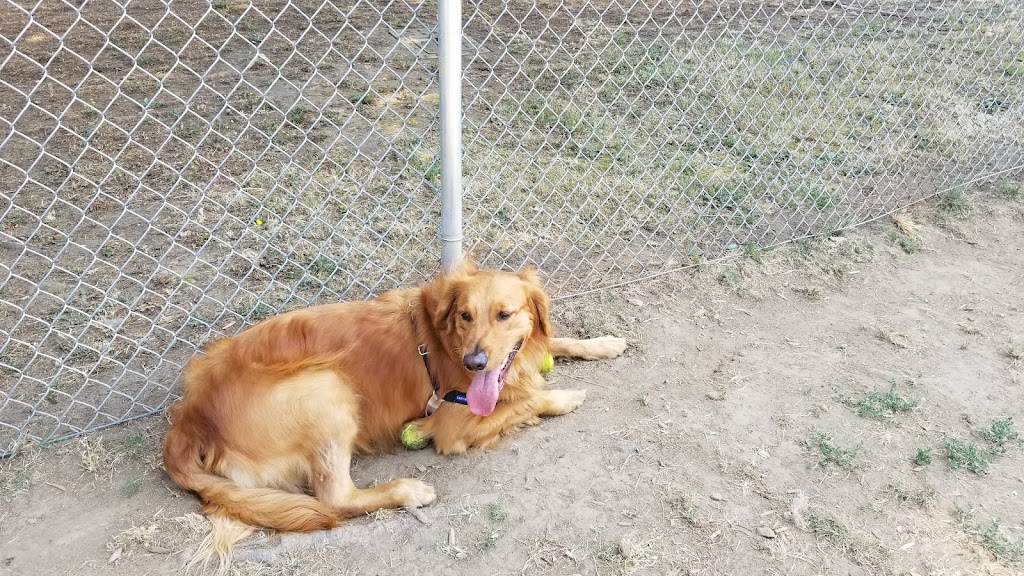Columbia City Dog Park | 2305 2nd St, Columbia City, OR 97018, USA | Phone: (503) 366-0454