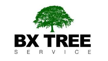 BX Tree Service - Bronx Tree Company, Tree Cutting & Removal | 1921 Muliner Ave, The Bronx, NY 10462, United States | Phone: (929) 841-1776