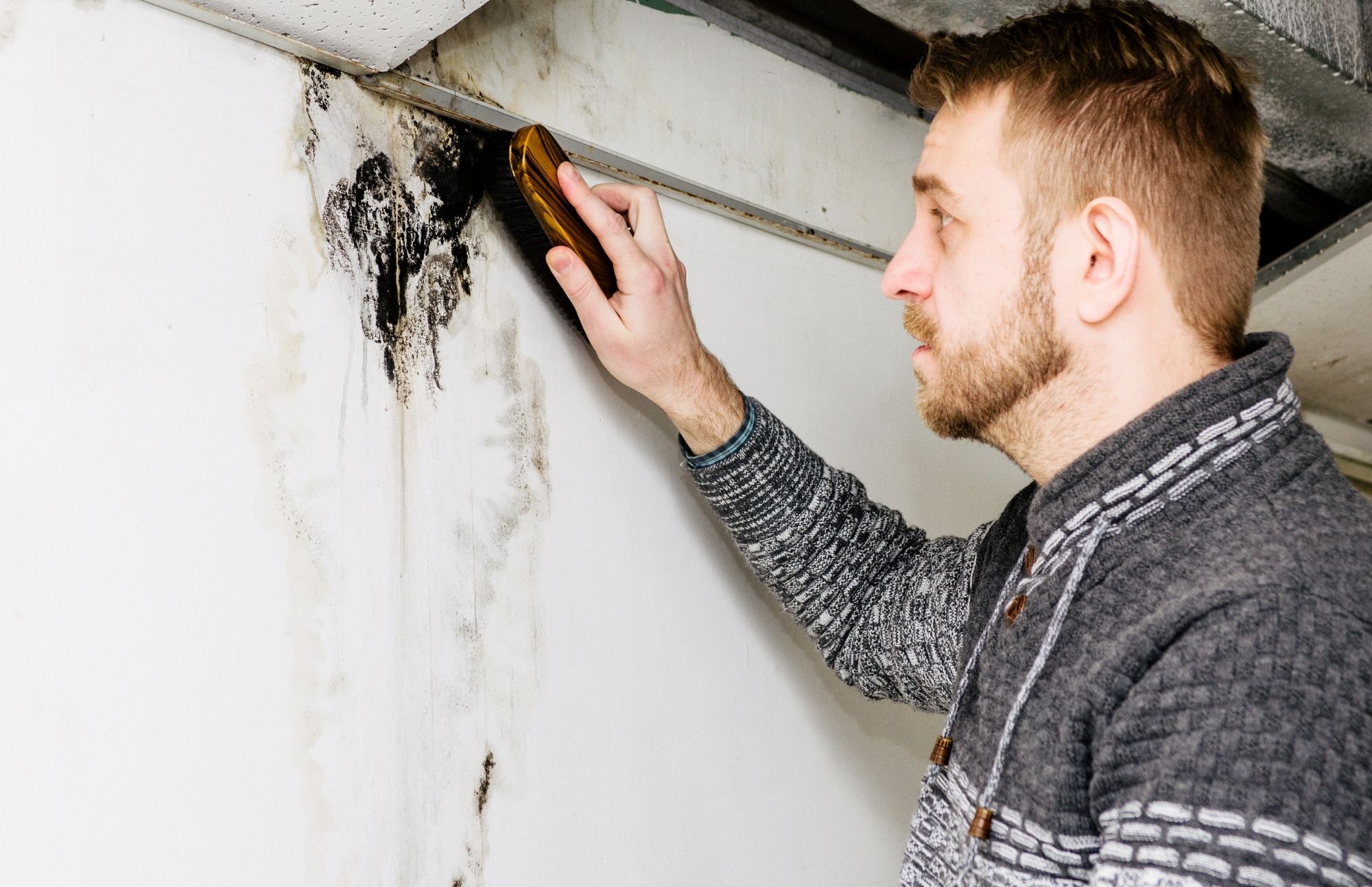 Valley City Mold Removal Experts | 2818 N Sullivan Rd, Spokane Valley, WA 99216, United States | Phone: (509) 245-8895