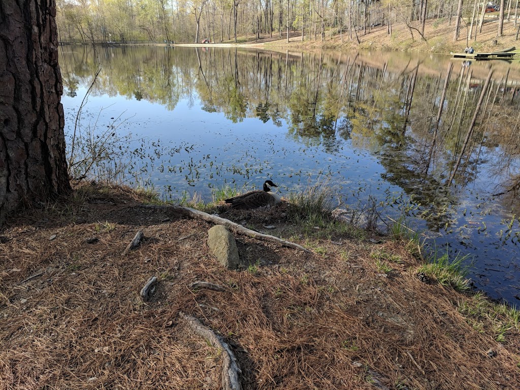 YMCA Camp Thunderbird | 9300 Shawonodasee Rd, Chesterfield, VA 23832, USA | Phone: (804) 748-6714