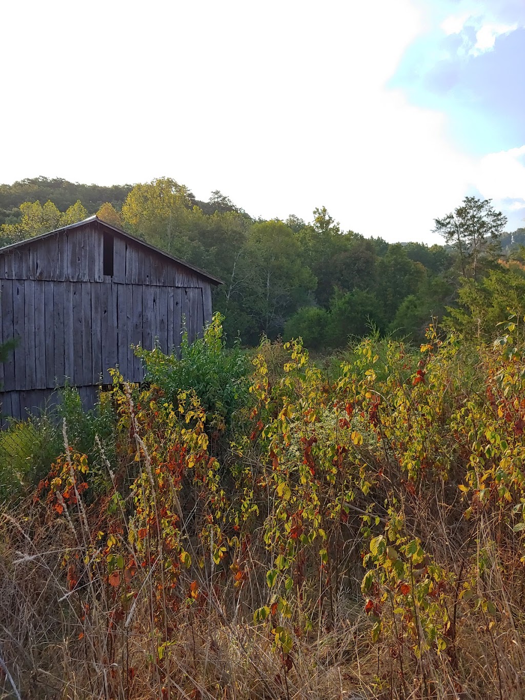 Lily Mountain Nature Preserve | 551 Little Rock Rd, Irvine, KY 40336, USA | Phone: (859) 582-9373