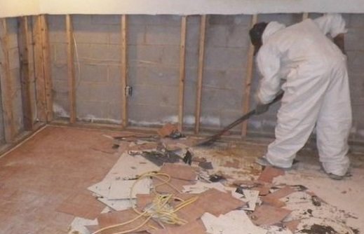 Albany Mold LLC | 133 Spring St 2nd fl, Albany, NY 12203, USA | Phone: (800) 727-0806