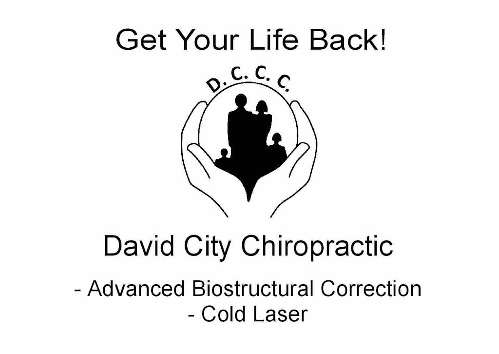David City Chiropractic | 528 N 4th St, David City, NE 68632, USA | Phone: (402) 367-6061
