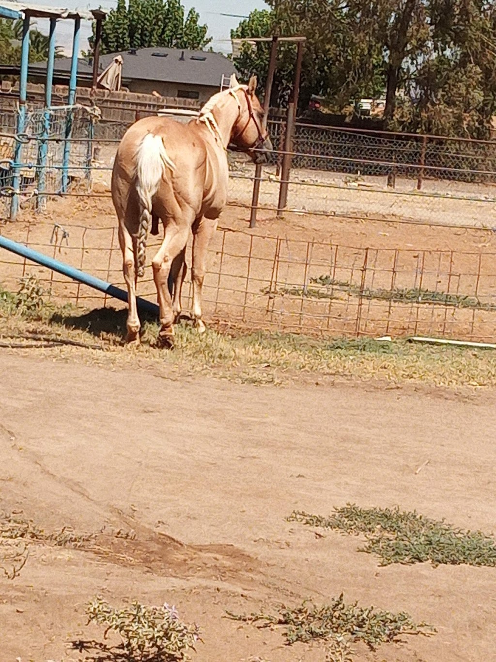 A Country RV Park | 622 S Fairfax Rd, Bakersfield, CA 93307 | Phone: (661) 363-6412