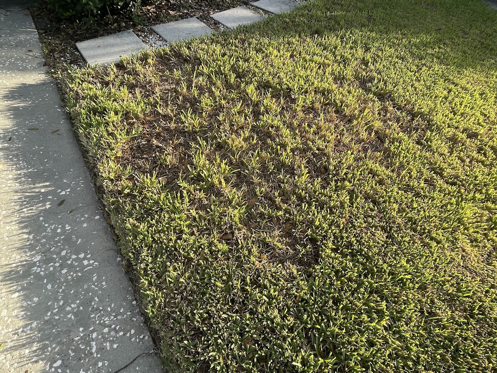 Executive Turf Management Inc | 6553 46th St N #900, Pinellas Park, FL 33781, USA | Phone: (727) 528-4646