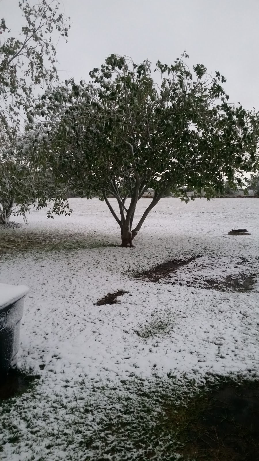 Gateway Manufactured Housing Community | 1545 N Lexington Blvd, Corpus Christi, TX 78409, USA | Phone: (361) 289-1191