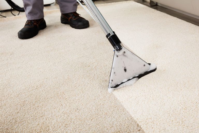 All City Carpet Cleaning | 13616 Branford St, Arleta, CA 91331, USA | Phone: (818) 235-8838