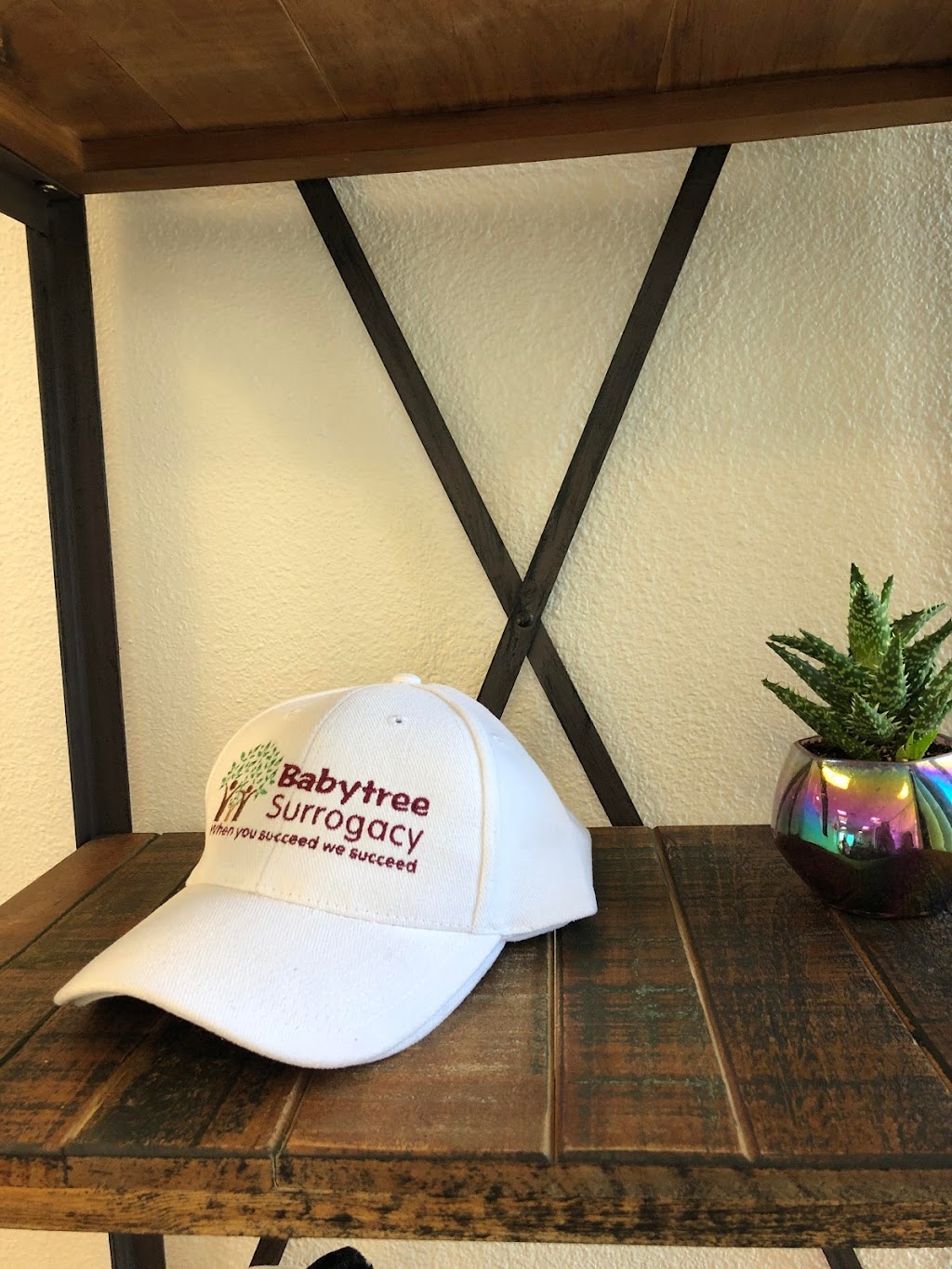 Babytree Surrogacy | 961 W Holt Blvd, Ontario, CA 91762, USA | Phone: (888) 245-1866 Babytree Surrogacy | 961 W Holt Blvd, Ontario, CA 91762, USA | Phone: (888) 245-1866
