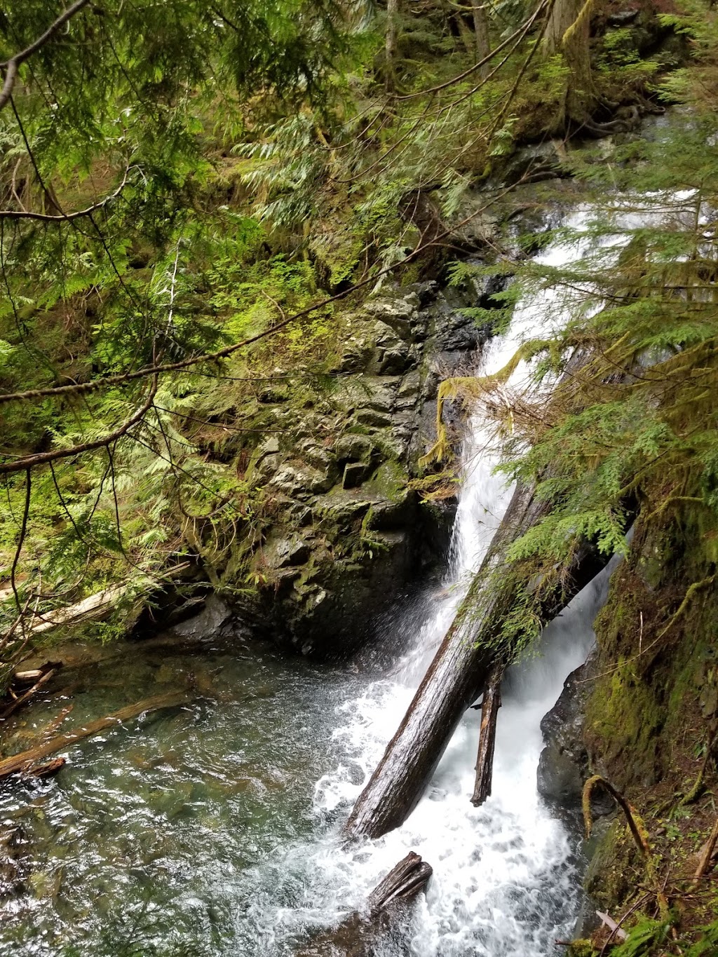 Mount Pilchuck State Park | Granite Falls, WA 98252, USA | Phone: (360) 902-8844