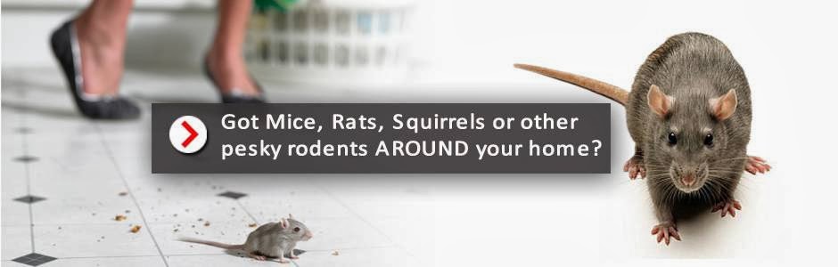 Pest-Free Exterminating Services | 2444 Country Lake Ln, Powder Springs, GA 30127, USA | Phone: (678) 384-1101