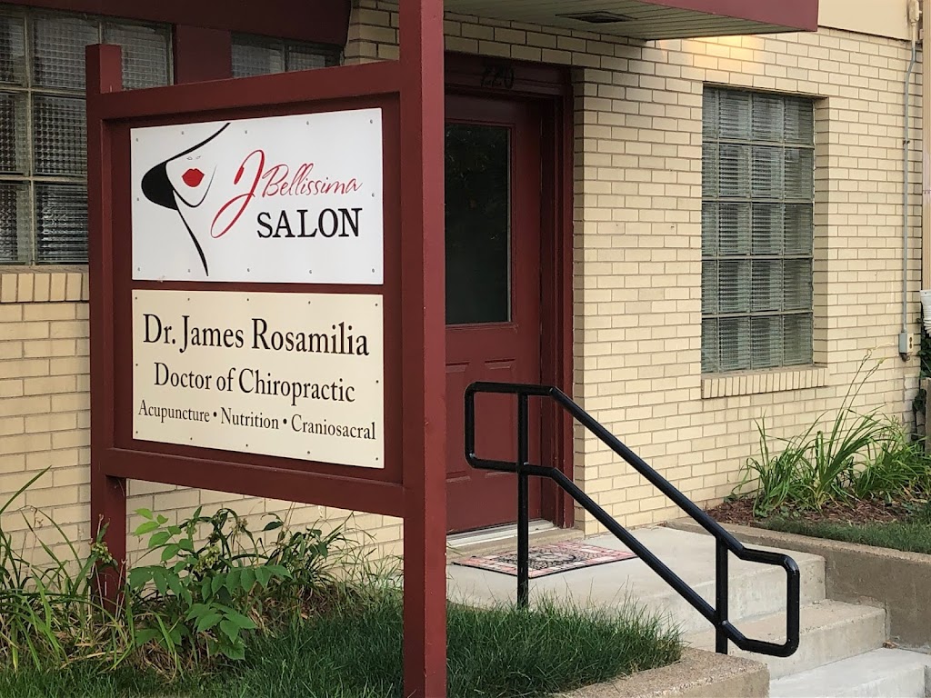 James J. Rosamilia Jr, DC | 220 3rd St S, Stillwater, MN 55082 | Phone: (651) 439-4914