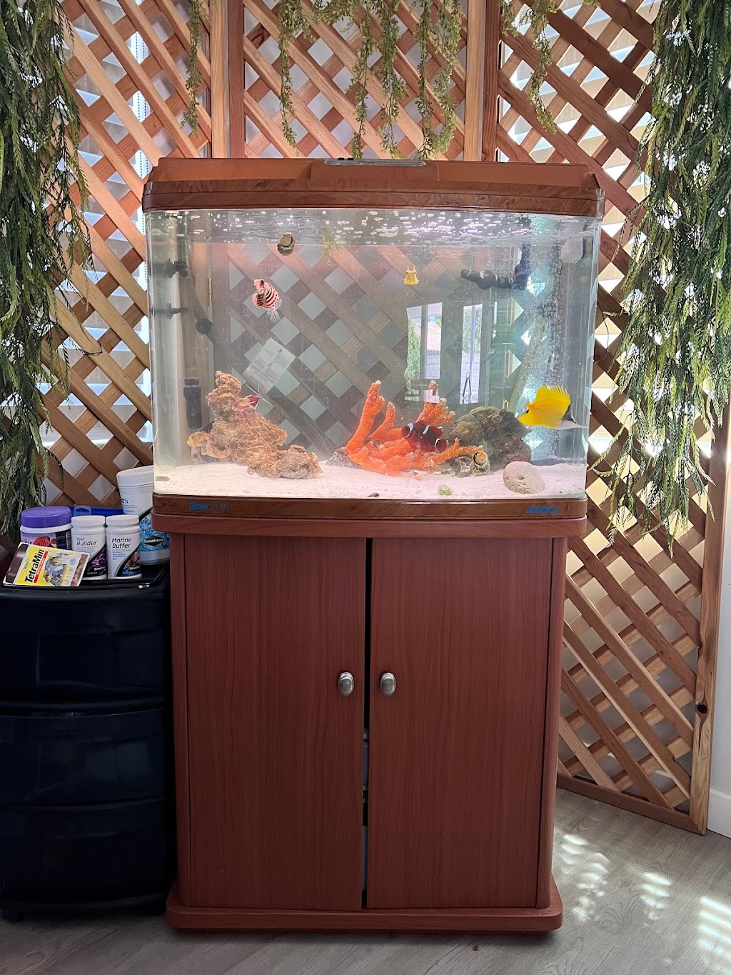 Rainbow Aquarium and Pond | 9066 Woodman Ave, Pacoima, CA 91331, USA | Phone: (818) 891-6366