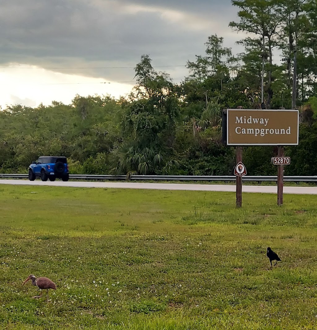 Midway Campground | 52870 Tamiami Trail E, Ochopee, FL 34141, USA | Phone: (877) 444-6777