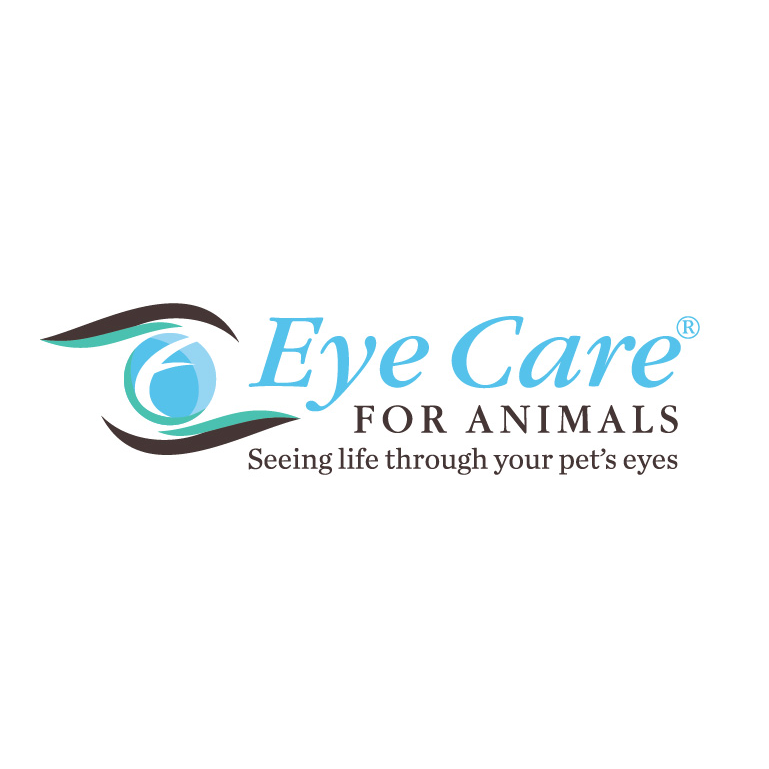 Eye Care for Animals - Torrance | 2551 W 190th St, Torrance, CA 90504 | Phone: (310) 558-6150