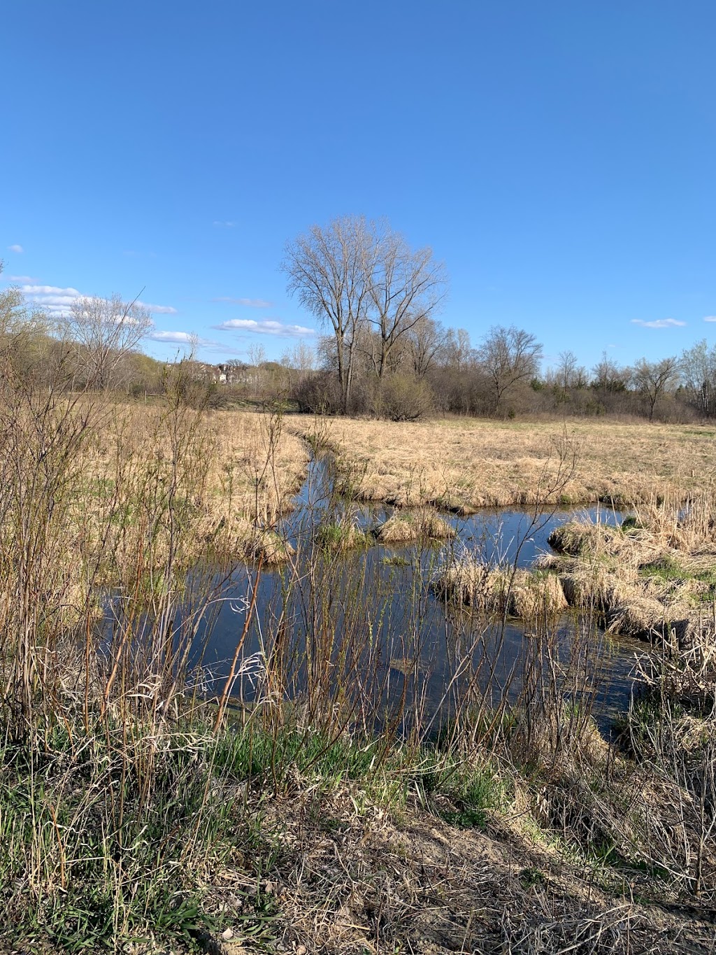 Lion’s Park at Hay Lake | 14001 Old Marine Trail N, Marine on St Croix, MN 55047, USA | Phone: (651) 433-2274