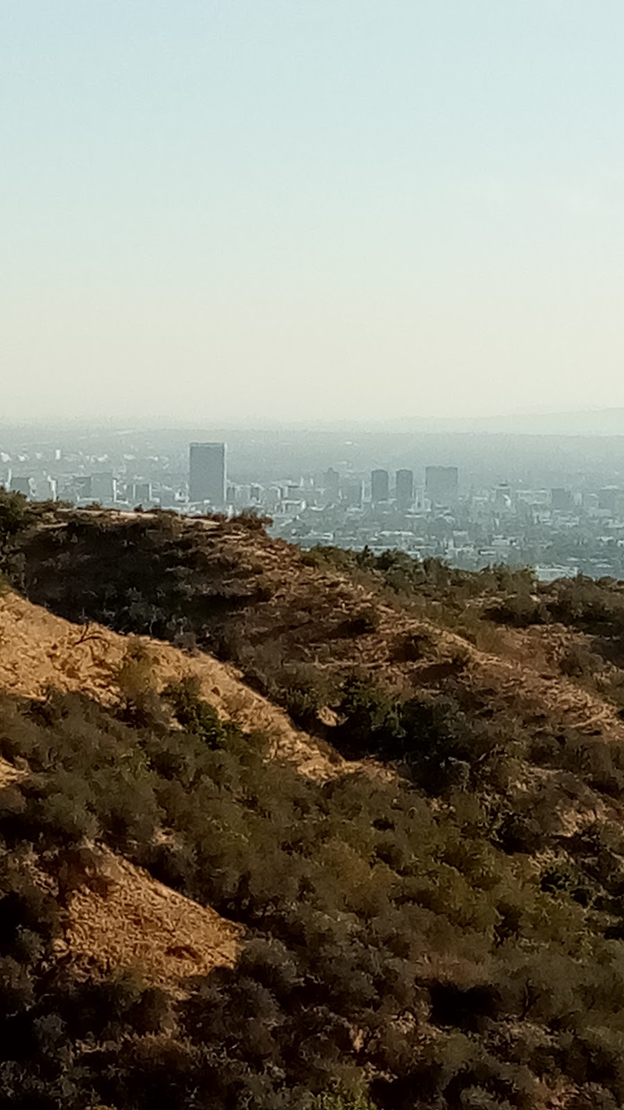 Seily Rodriguez Park | 5707 Lexington Ave, Los Angeles, CA 90038, USA | Phone: (213) 485-4833