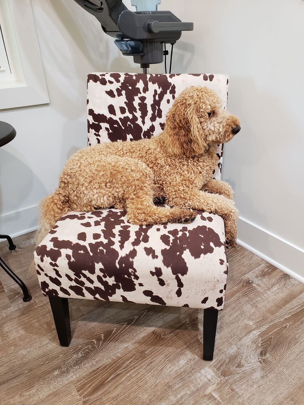 Viking Sewing Gallery | 8208 Tamarack Village, Woodbury, MN 55125, USA | Phone: (651) 501-6022