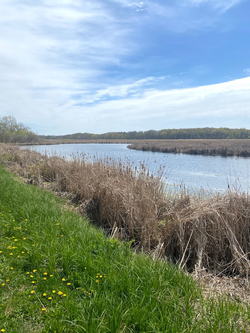 Rice Marsh Lake Park | 8811 Erie Cir, Chanhassen, MN 55317 | Phone: (952) 227-1100