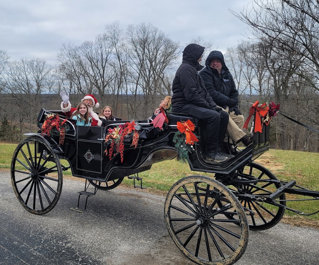 Tall Tails Carriage Rides | 11830 Jonesville Rd, Dry Ridge, KY 41035, USA | Phone: (859) 630-0011