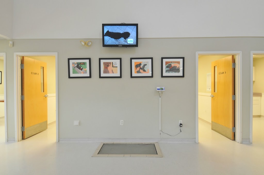 Driftway Animal Hospital | 53 New Driftway, Scituate, MA 02066, USA | Phone: (781) 545-0952