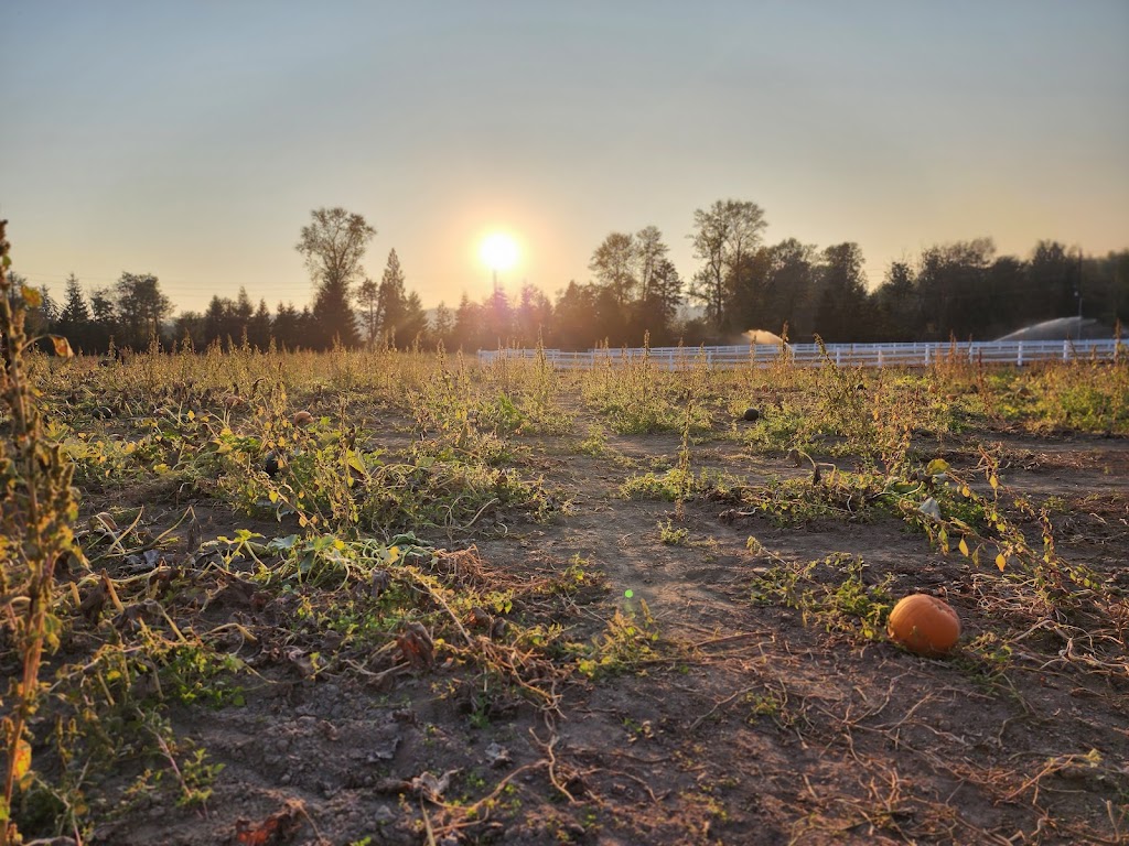 Remlinger Farms | 32610 NE 32nd St, Carnation, WA 98014, USA | Phone: (425) 333-4135