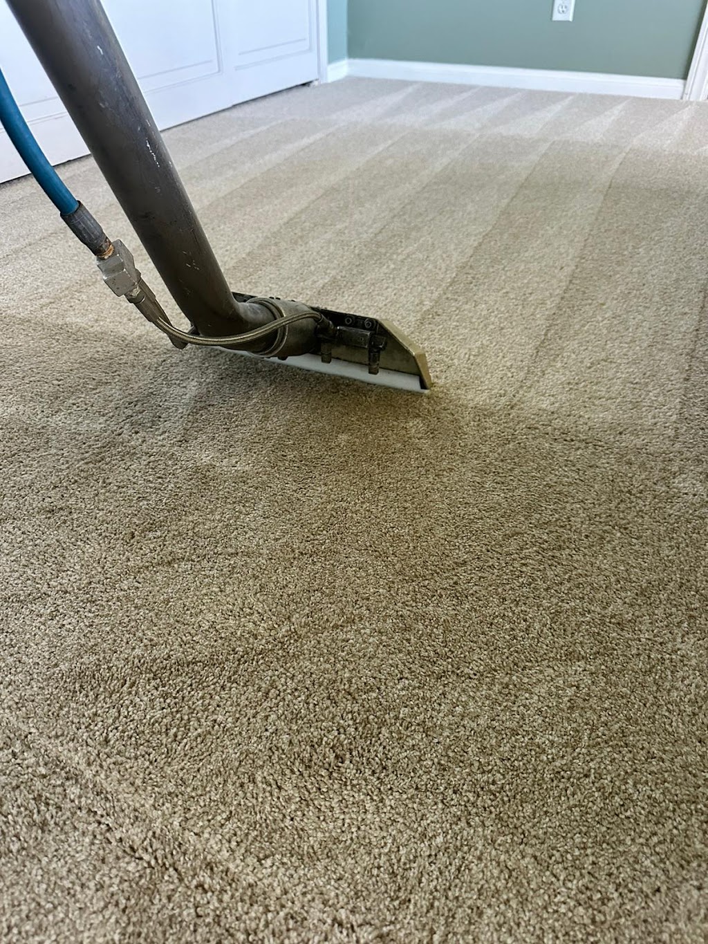 All Elite Carpet & Floor Care | 1254 Avenida Amistad, San Marcos, CA 92069, USA | Phone: (858) 260-0289