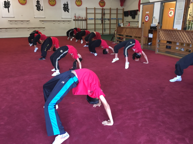 AllStar Kung Fu | 413 E El Camino Real, Sunnyvale, CA 94087, USA | Phone: (408) 881-2880