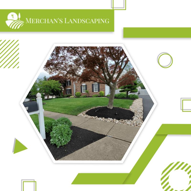 Merchans Landscaping | 1523 Lavender Rd, Bensalem, PA 19020, United States | Phone: (215) 431-5598