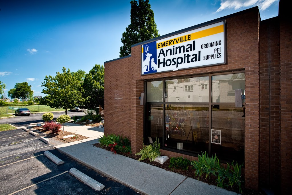 Emeryville Animal Hospital | 106 Emery Dr, Emeryville, ON N0R 1C0, Canada | Phone: (519) 727-3304