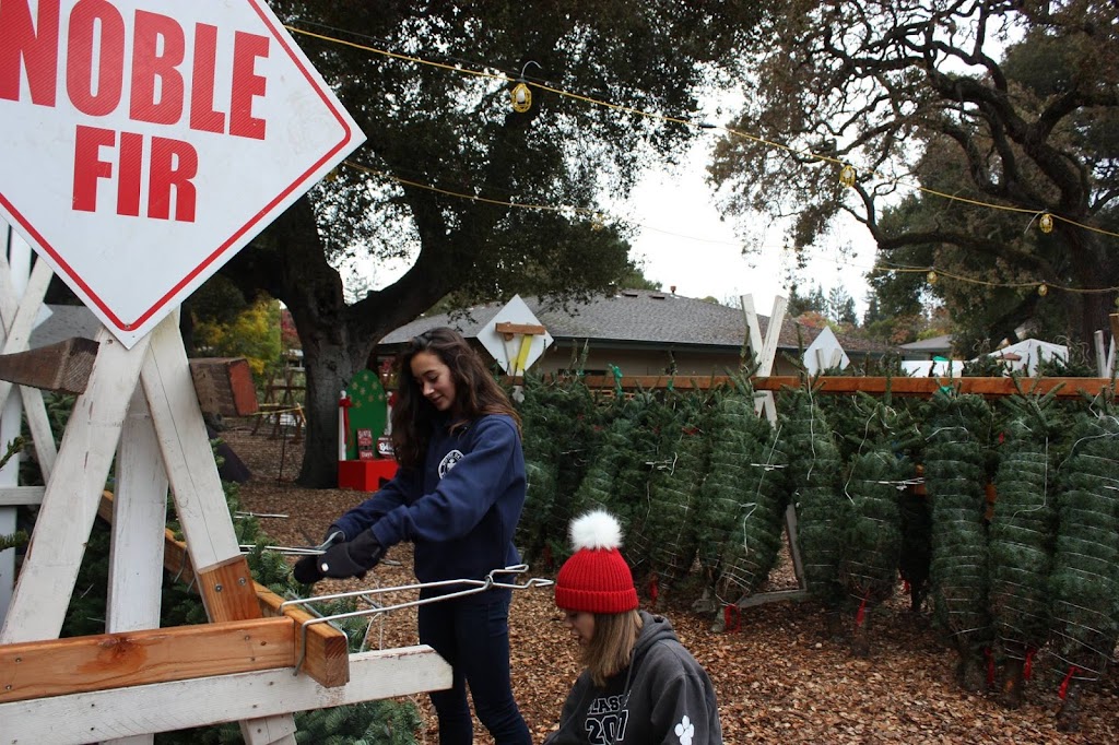 Nativity School Christmas Tree Lot | 1250 Laurel St, Menlo Park, CA 94025, USA | Phone: (650) 325-7304 ext. 207