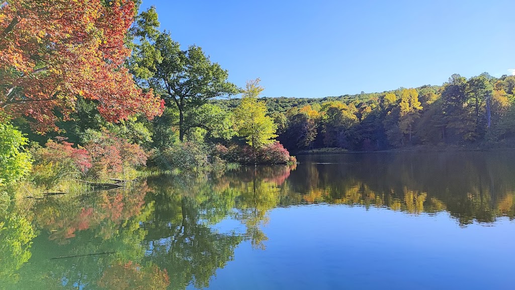 Black Rock Forest Lodge | 170 Reservoir Rd, Cornwall, NY 12518, USA | Phone: (845) 534-4517