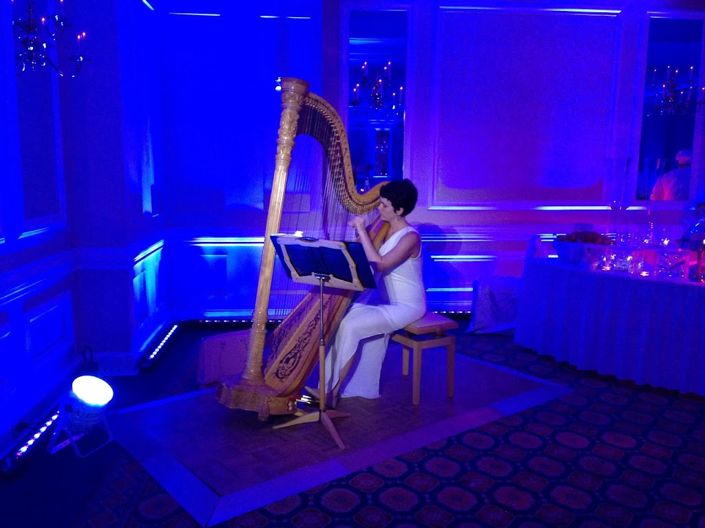 Leigh Stringfellow, Harpist | 704 Hillsborough Rd, Carrboro, NC 27510, USA | Phone: (253) 677-3060