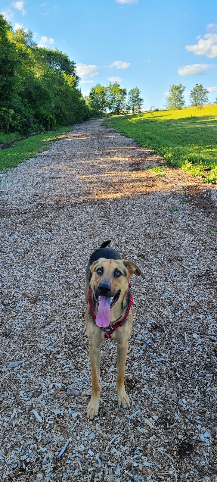 Bloomington Off-leash Dog Park | Nesbitt Ave S & West 110th Street, Bloomington, MN 55438, USA | Phone: (952) 563-8877