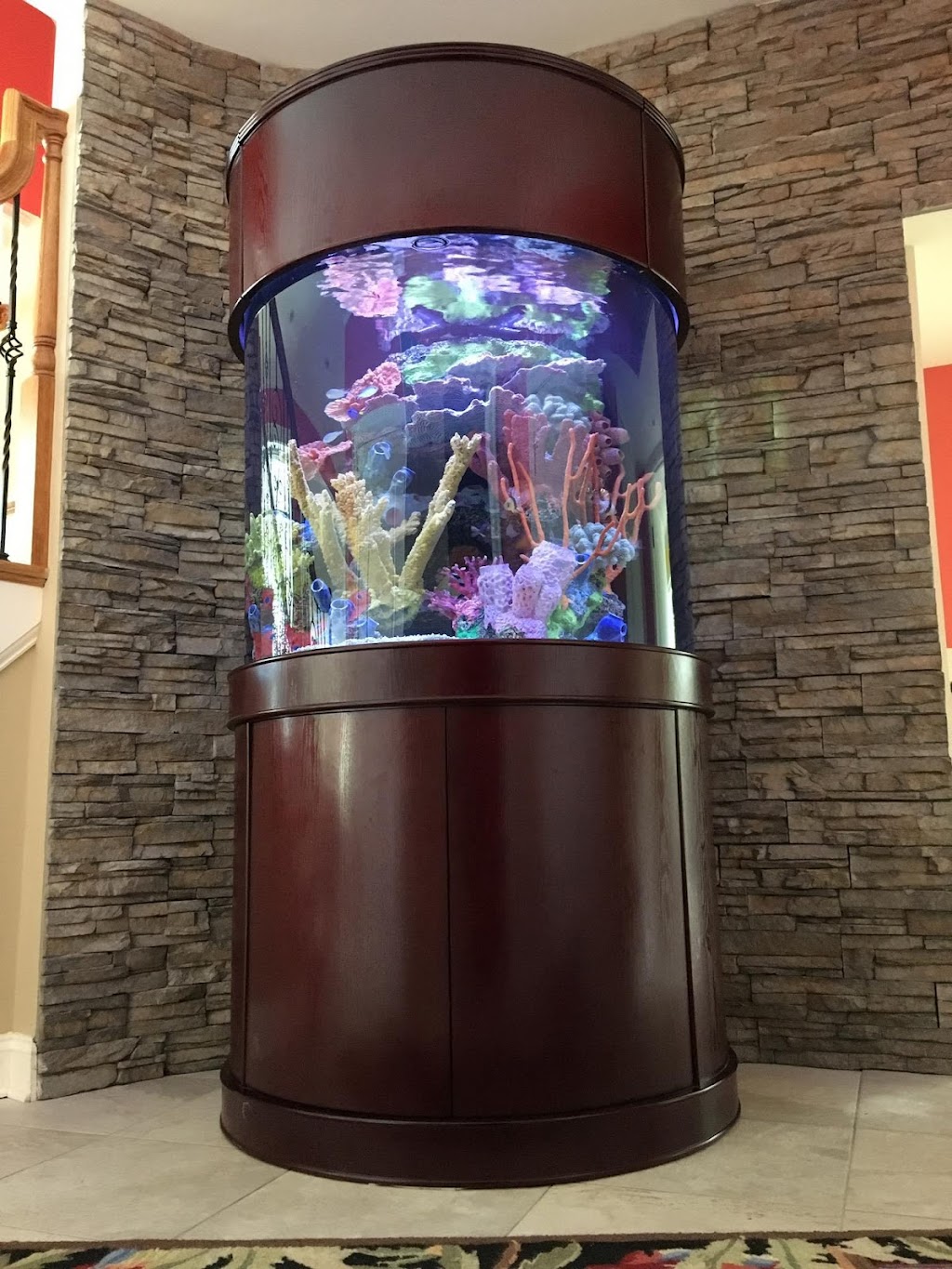 Dayton Aquarium Company | 132 Westpark Rd, Dayton, OH 45459, USA | Phone: (937) 435-1352