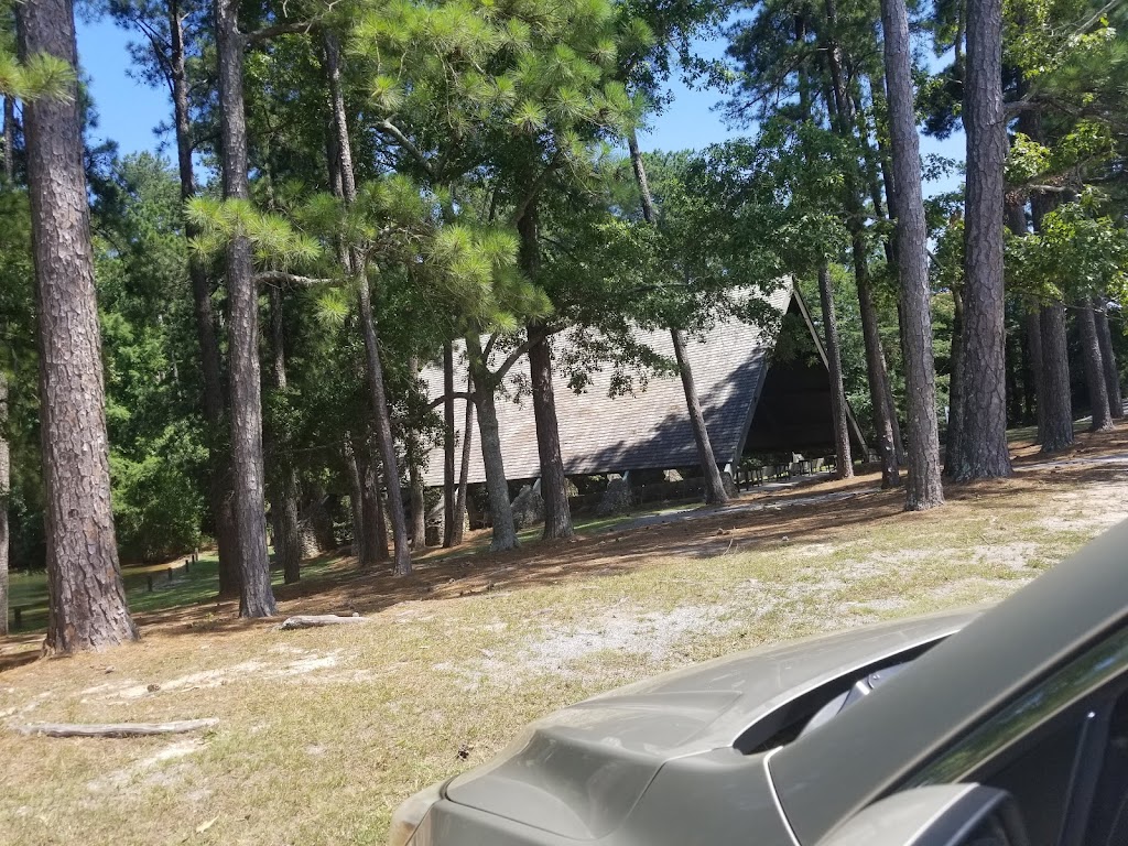 Church in the Pines | Eclectic, AL 36024, USA | Phone: (334) 857-2040