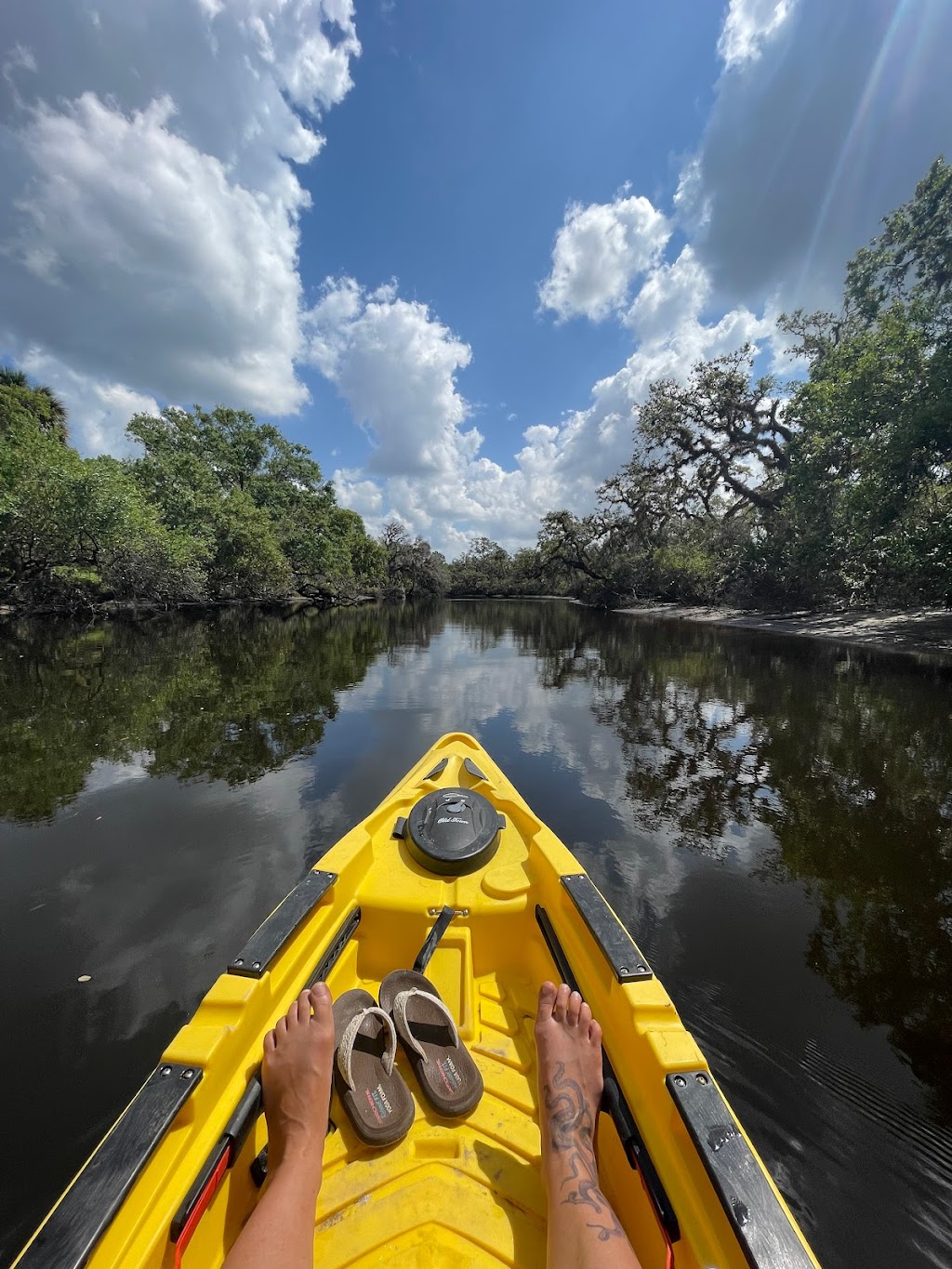 Snook Haven Park | 5000 E Venice Ave, Venice, FL 34292, USA | Phone: (941) 485-7221