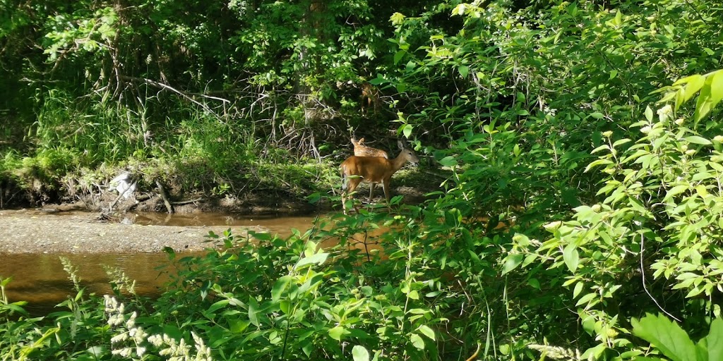 Rice Creek West Regional Trail Corridor | 7000 Central Ave N E, Fridley, MN 55432, USA | Phone: (763) 324-3300