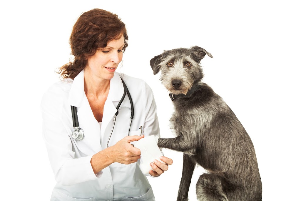 Seagrove Animal Hospital | 6961 US-220 ALT, Asheboro, NC 27205, USA | Phone: (336) 873-7997