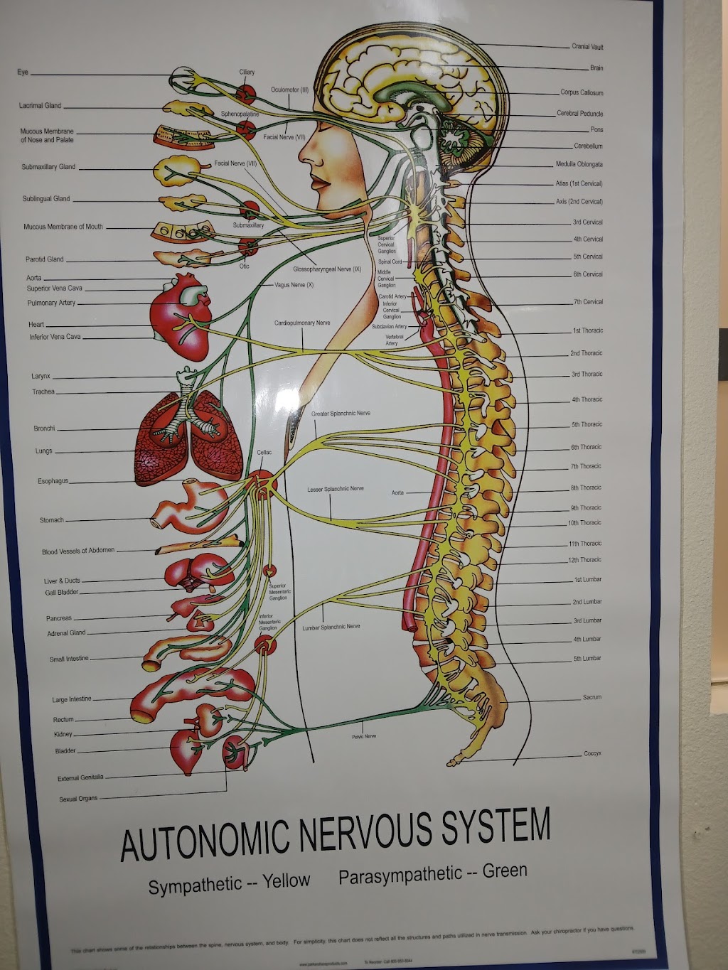 Luis I. Garcia, MD | 1222 S. Orange Ave 3rd and 4th Floor, Orlando, FL 32806, USA | Phone: (321) 841-6444