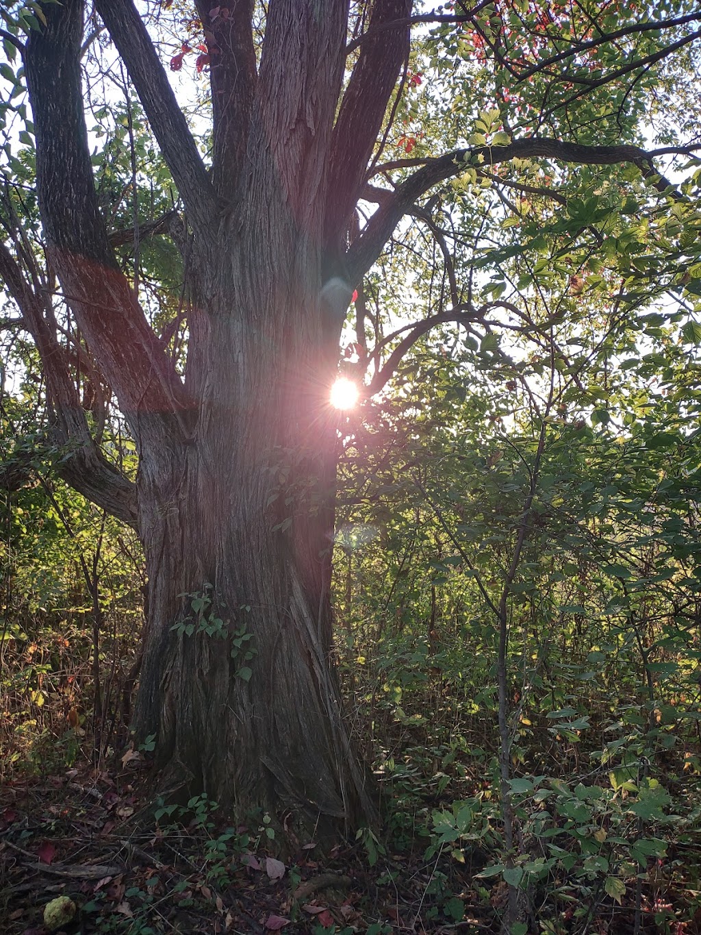 James P Amon Biodiversity Reserve | Deercreek Dr, Fairborn, OH 45324, USA | Phone: (937) 320-9042 James P Amon Biodiversity Reserve | Deercreek Dr, Fairborn, OH 45324, USA | Phone: (937) 320-9042