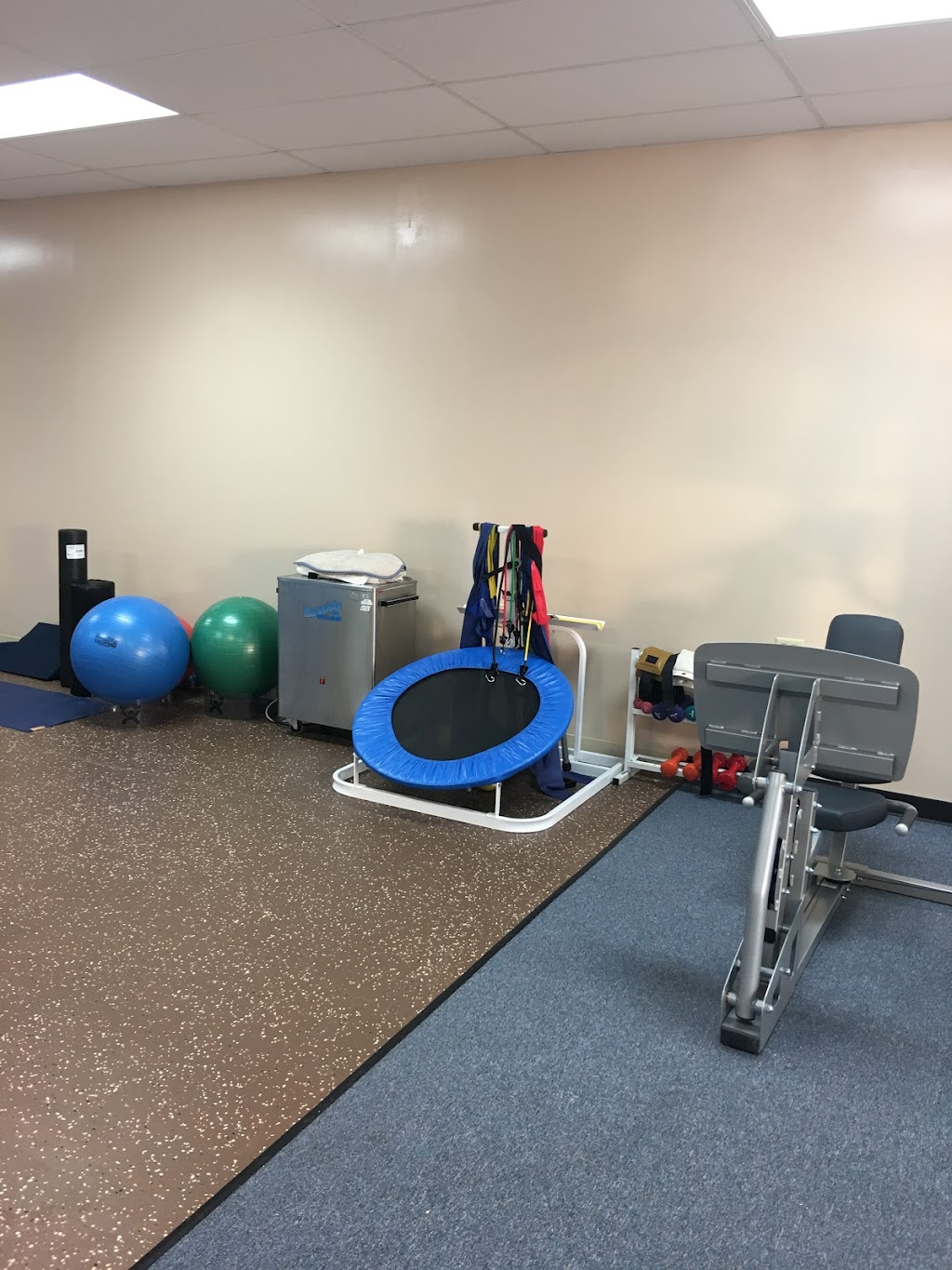 EIM Physical Therapy | 1907 E Wattles Rd, Troy, MI 48085, USA | Phone: (248) 688-9209