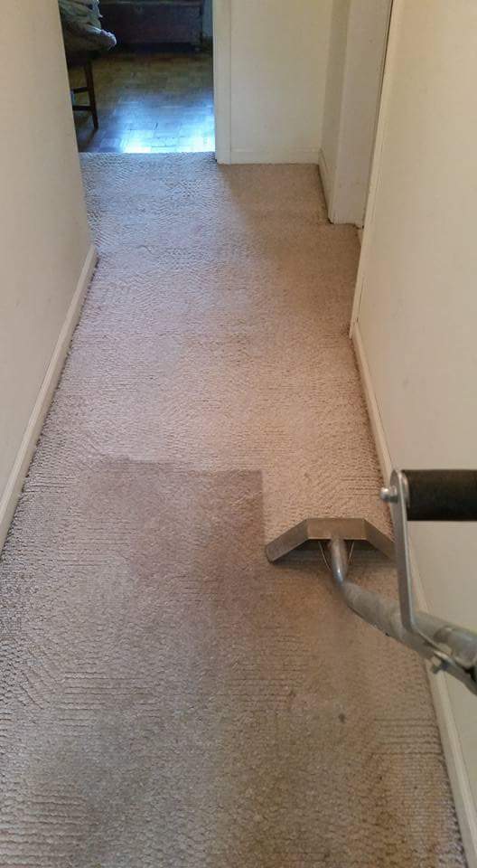 Personal Touch Carpet & Upholstery Cleaning | 9960 Arnold Rd, Ira Township, MI 48023, USA | Phone: (888) 330-9900