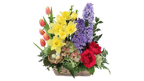 Another Tyme Florals & Plants | 2000 N Carson St, Carson City, NV 89703, USA | Phone: (775) 350-7401