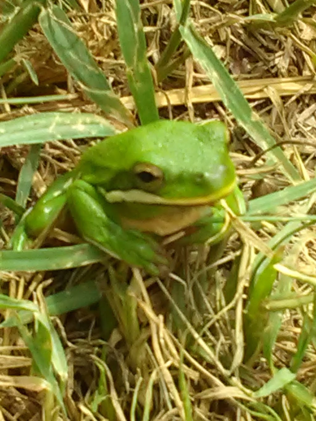 Elm Creek RV Park | 4888 FM467, Seguin, TX 78155, USA | Phone: (830) 303-3398