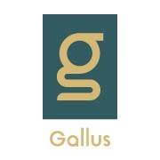 Gallus Medical Detox Centers - Phoenix | 4326 N 75th St, Scottsdale, AZ 85251, United States | Phone: (480) 702-3991
