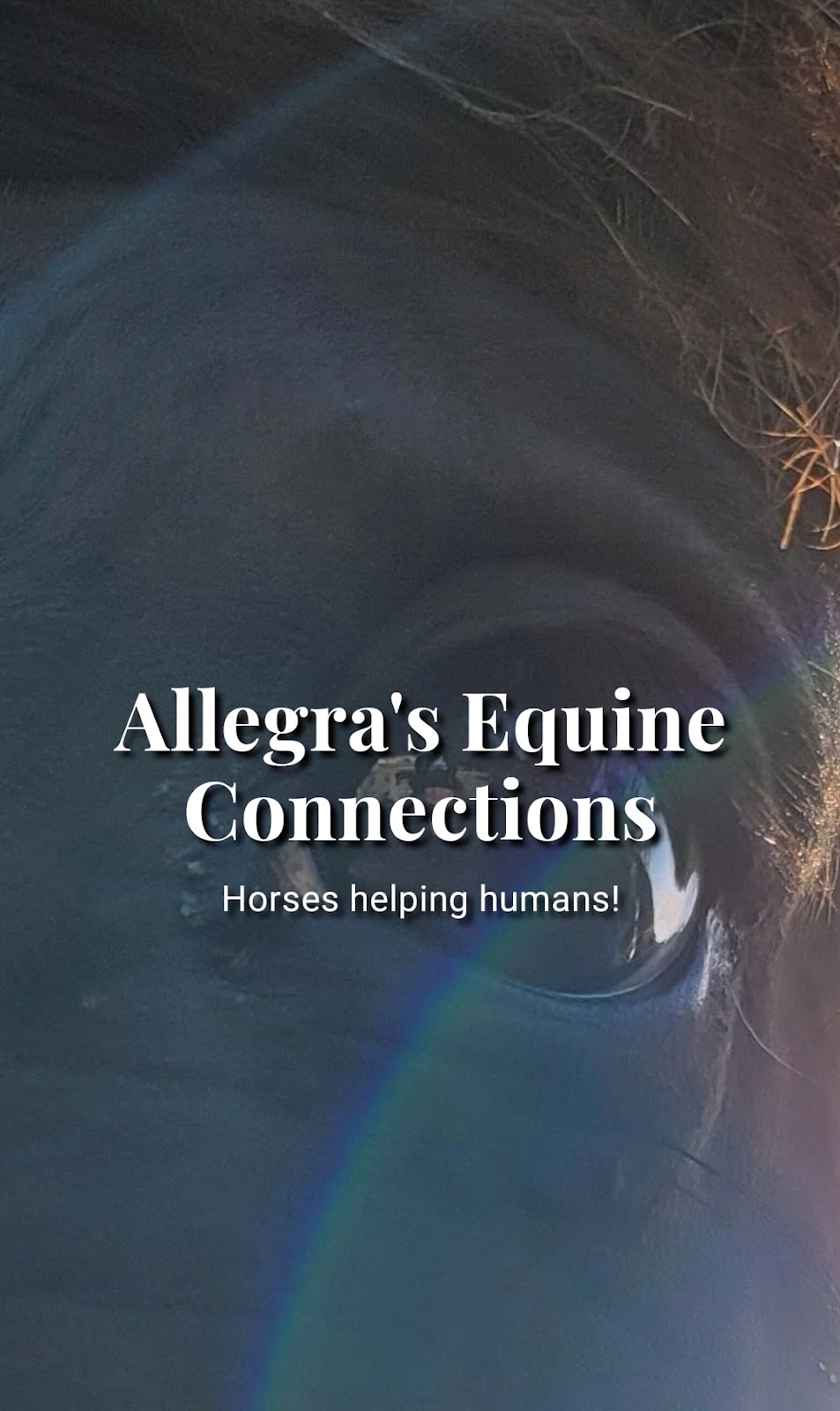 Allegras Equine Connections | 28791 Tulita Ln, Menifee, CA 92584 | Phone: (951) 821-1181